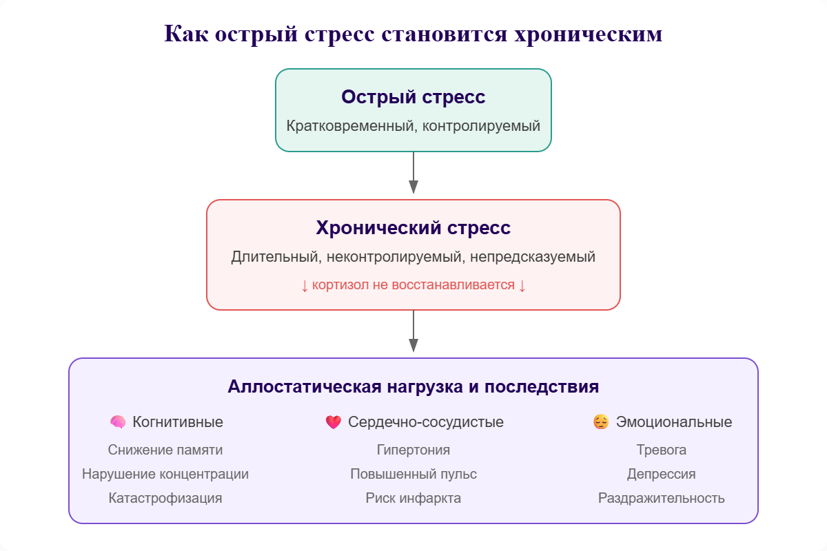 Переход острого стресса в хронический и накопление аллостатической нагрузки