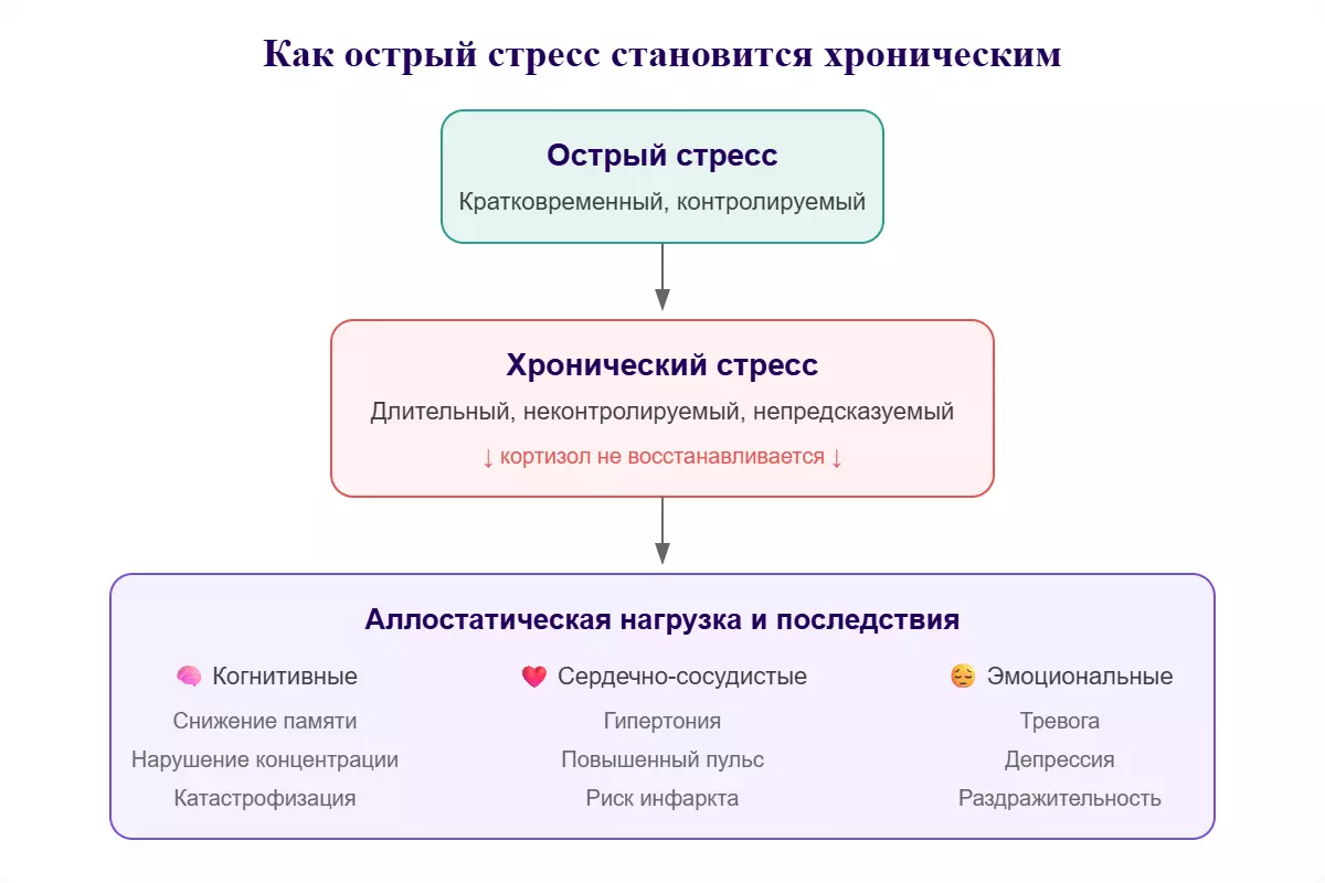 Переход острого стресса в хронический и накопление аллостатической нагрузки